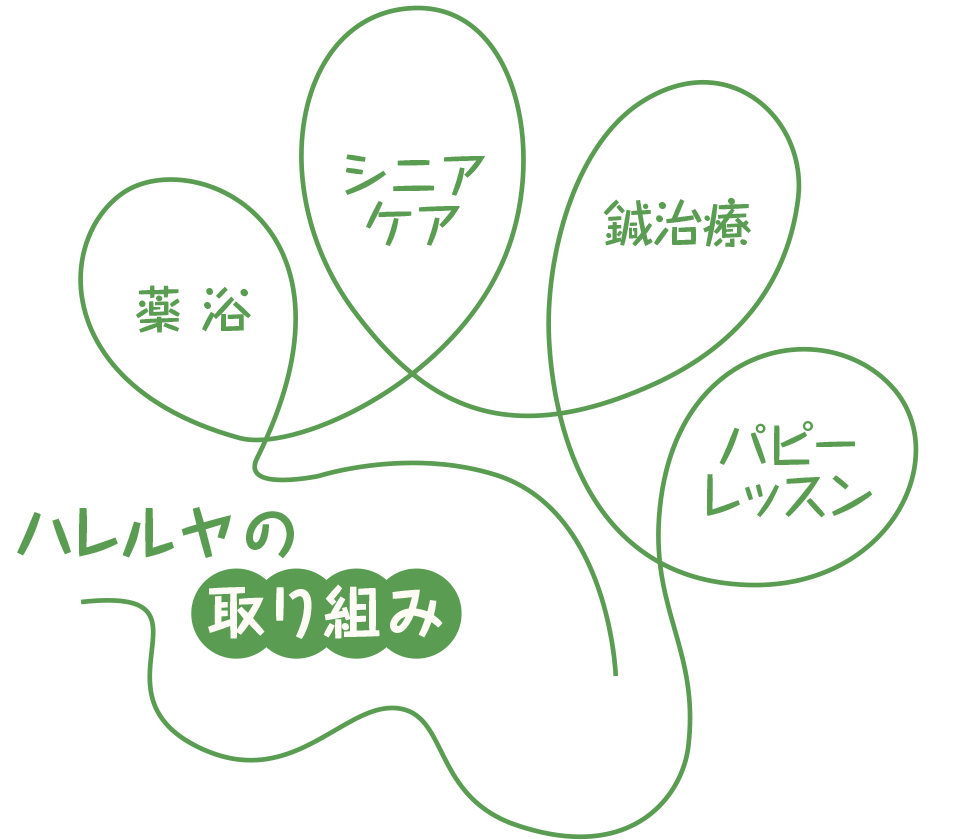 ハレルヤの取り組み